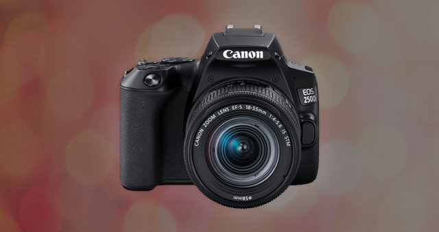 Canon Eos 250d Black + Ef-s 18-55 Is Stm Black: i fondamenti
