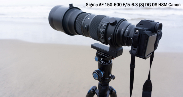 SIGMA AF 150-600 canon