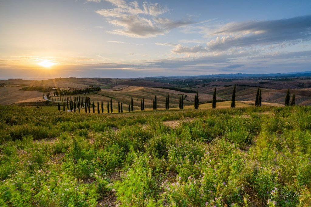 come-fotografare-la-natura-al-meglio