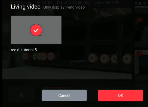 living-video-yolobox-tutorial