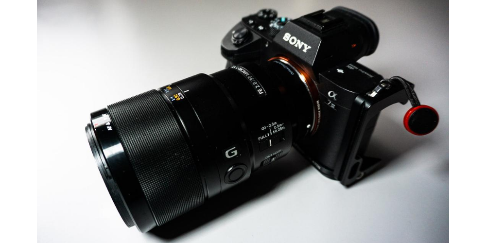 lenti-per-macrofotografia-Sony-FE-90mm-f-28-G-OSS