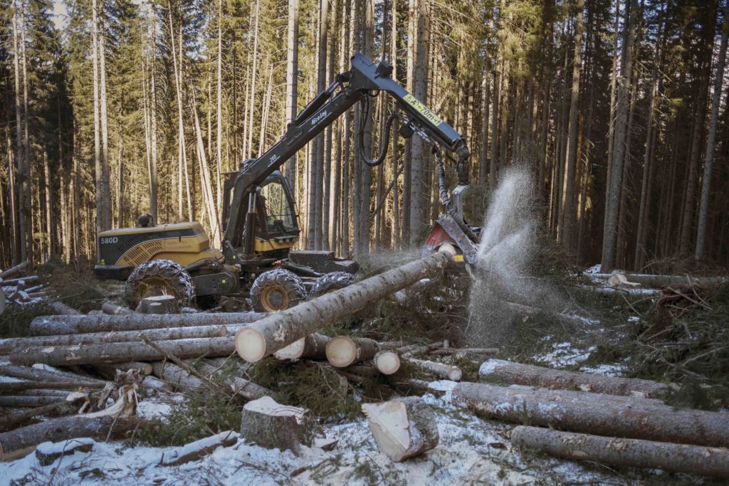 cantiere-forestale-predazzo