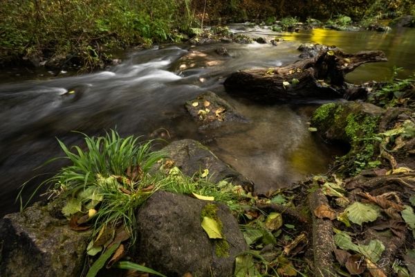 filtro-polarizzatore-fotografia-naturalistica-1