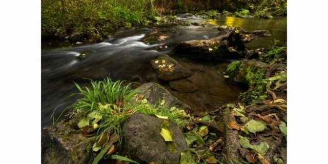 filtro-polarizzatore-fotografia-naturalistica-ev
