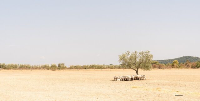 ev-migliore-orario-per-fotografare