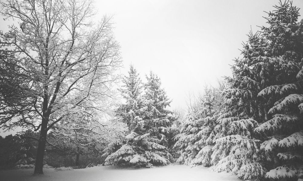 2-fotografare-neve-paesaggio