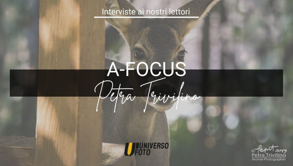 A-Focus Petra Trivilino