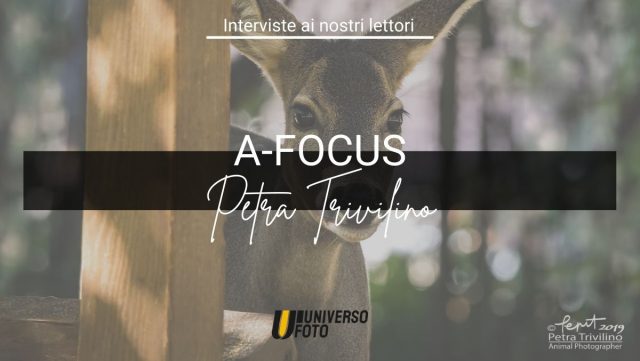 A-Focus Petra Trivilino