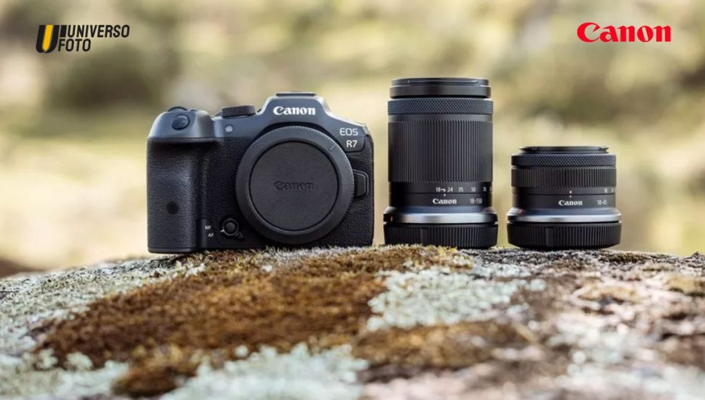 Canon EOS R7 mirrorless APS C e obiettivi