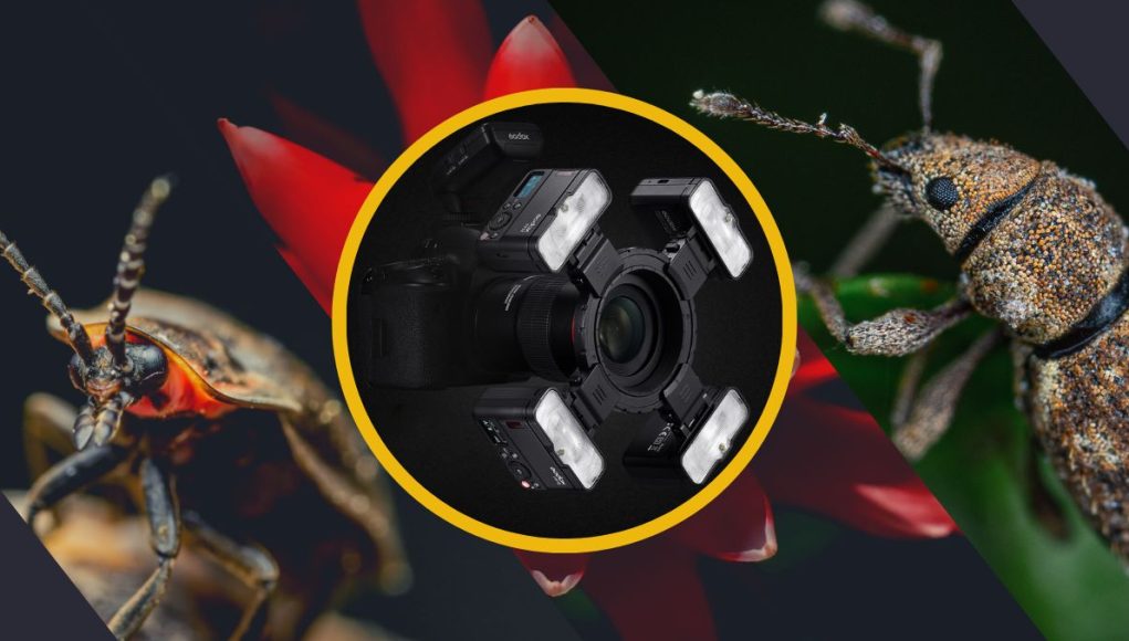 Godox Macro Flash MF12 - Come si utilizza