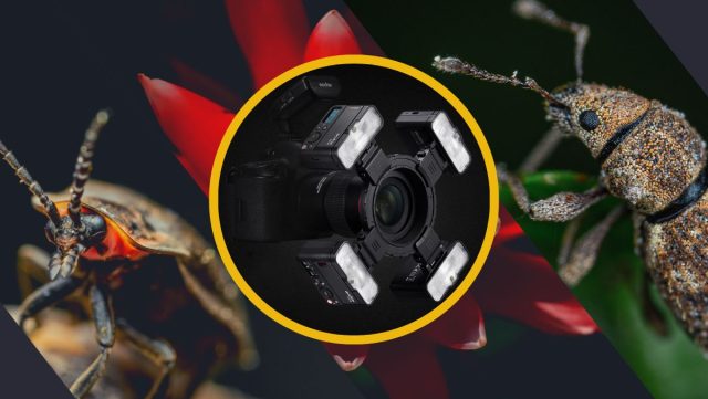 Godox Macro Flash MF12 - Come si utilizza