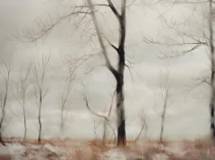 Todd Hido e Henri Prestes: Paesaggi notturni Todd-Hido-e-Henri-Prestes_Paesaggi-notturni