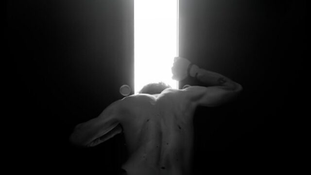 IO-Metamorfosi-Auto-Ritratto-ADGALLERY-Davide-Barzaghi