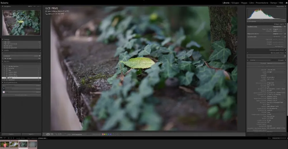 Test-sul-campo-Viltrox-85mm-F1.4