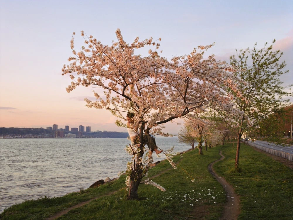 “Pink Tree” from “Girl Pictures” (Aperture, 2020) © J. Kurland