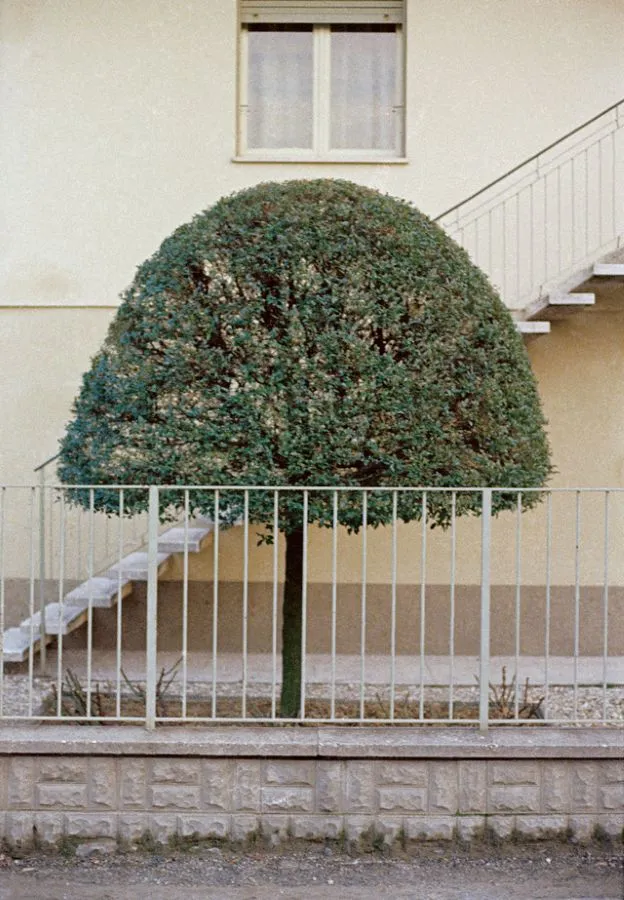 Colazione-sullβerba_-foto-di-Luigi-Ghirri