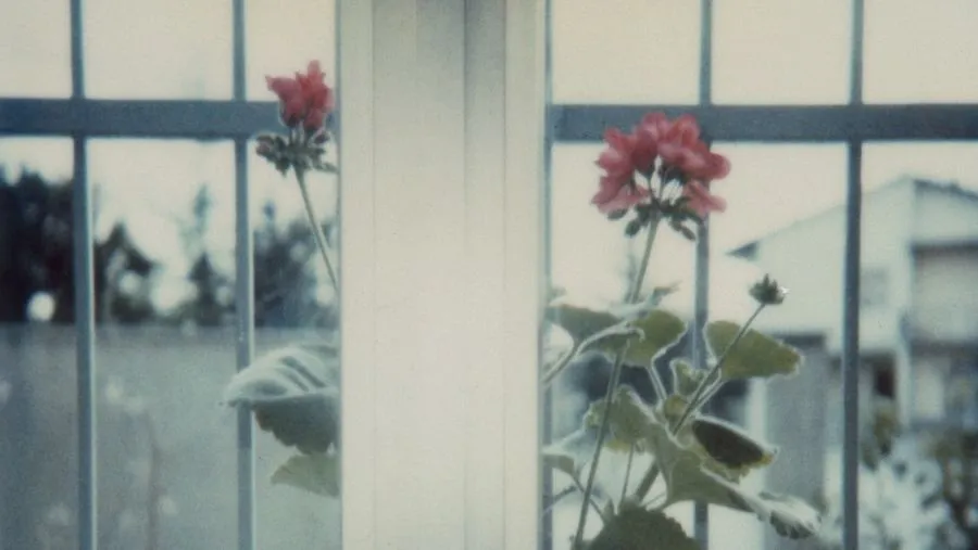 Mostra-Luigi-Ghirri.-Polaroid-β79-β83.-Centro-Pecci_-Prato