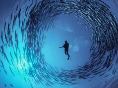 L’oceano in mostra a Villa Bardini Oceani di David Doubilet__mostra fotografica a villa bardini firenze