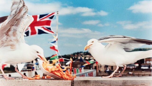 IE_West Bay (Seagulls Eating Chips), 1996, Martin Parr Magnum Photos West Bay (Seagulls Eating Chips), 1996, Martin Parr Magnum Photos
