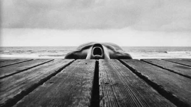 IE_Arno Rafael Minkkinen Arno Rafael Minkkinen