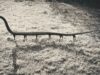 Joan Fontcuberta: In bilico tra realtà e finzione Joan Fontcuberta_Tra realtà e finzione