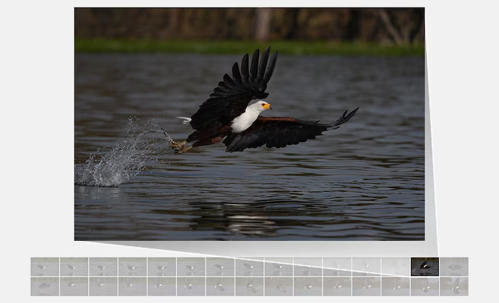 Sony-Alpha-7R-VI_30-fps