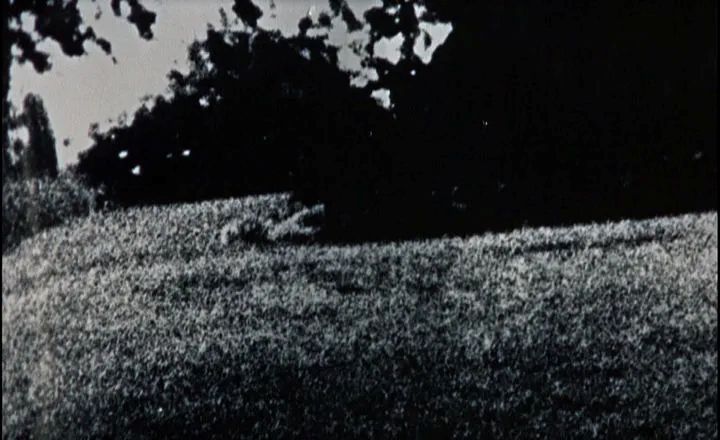 Blow Up _ Frame dal film di Michelangelo Antonioni
