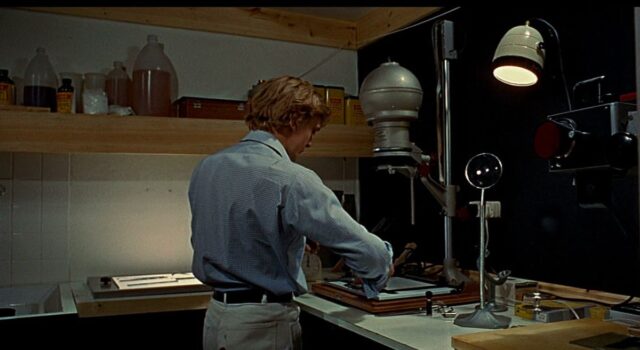 Una foto, una storia: “Blow Up” di Michelangelo Antonioni Blow Up di Michelangelo Antonioni