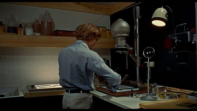 IE_Blow Up di Michelangelo Antonioni Blow Up di Michelangelo Antonioni