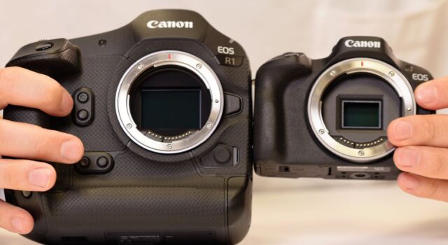 Full Frame vs APS-C: Quale ecosistema scegliere? Full Frame vs APS-C_Canon