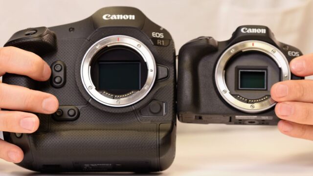 IE_Full Frame vs APS-C_Canon Full Frame vs APS-C_Canon