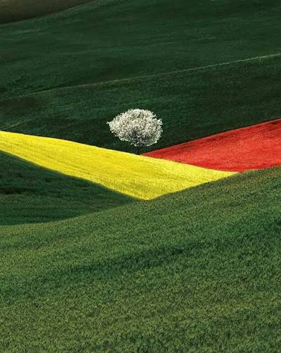 ©Franco Fontana